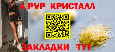 гидра Камышлов