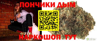 гидра Камышлов