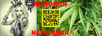 шишки Канаш