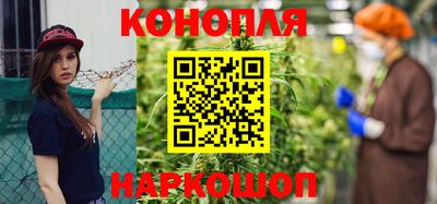 шишки Канаш