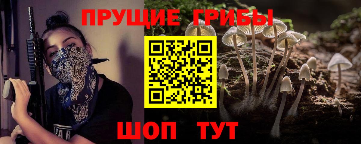 Галлюциногенные грибы Psilocybine cubensis  Вход с VPN  Вятские Поляны 