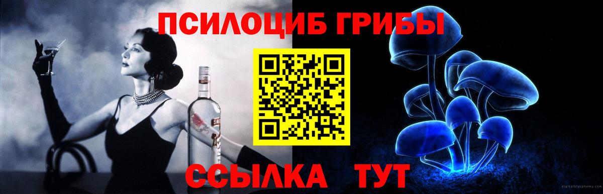 Галлюциногенные грибы Psilocybe Вятские Поляны